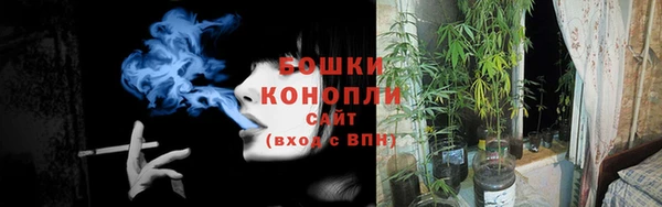 винт Нягань