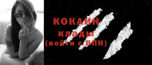 apvp Няндома