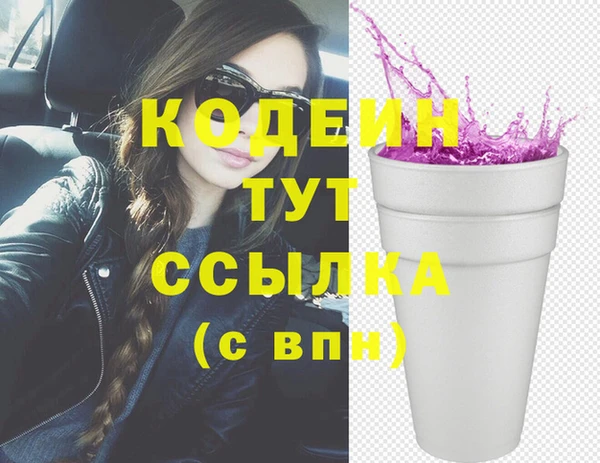 apvp Няндома
