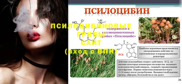 apvp Няндома