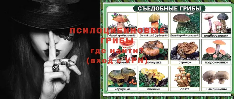 Галлюциногенные грибы Cubensis  купить  сайты  Волоколамск 