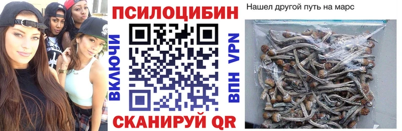 Псилоцибиновые грибы Psilocybe  Волоколамск 