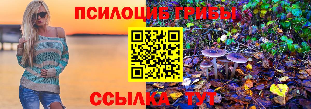 Псилоцибиновые грибы Magic Shrooms  Галлюциногенные грибы мицелий  Волоколамск 