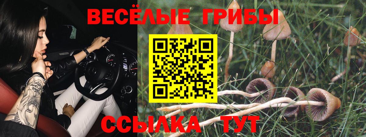 Галлюциногенные грибы мицелий Волоколамск