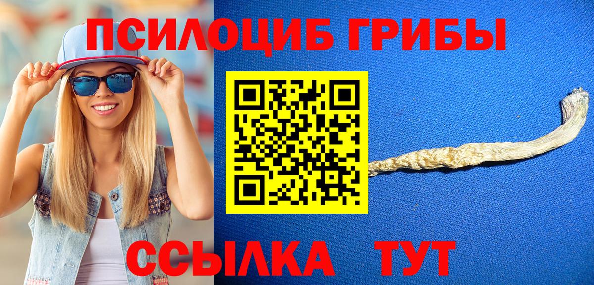 Волоколамск  цена   Галлюциногенные грибы MAGIC MUSHROOMS  Вход с VPN  Псилоцибиновые грибы Cubensis 